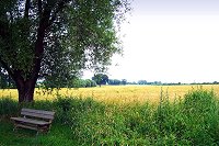nachher nachher