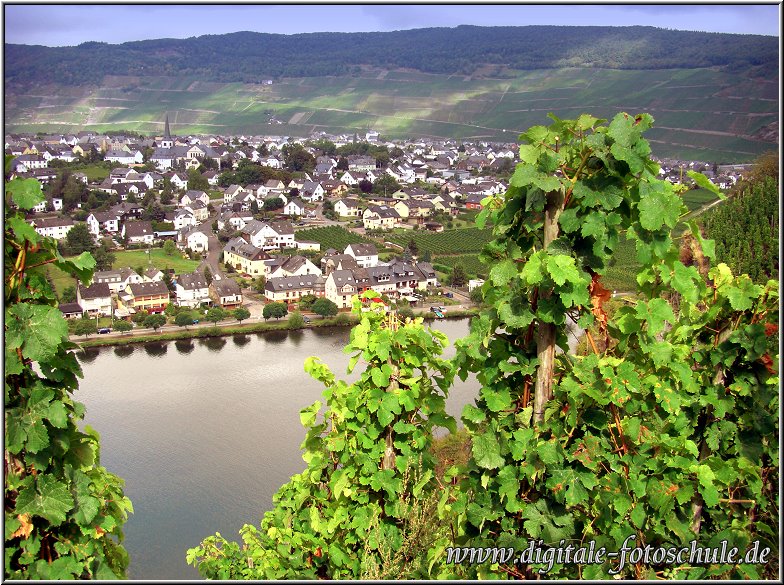 Piesport an der Mosel