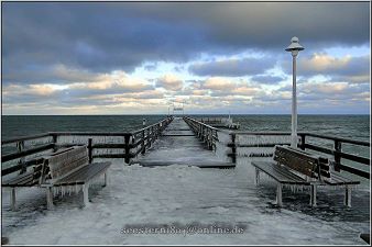 Seestern_006_kl Seestern_006_kl