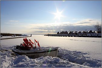 Seestern_014_kl Seestern_014_kl