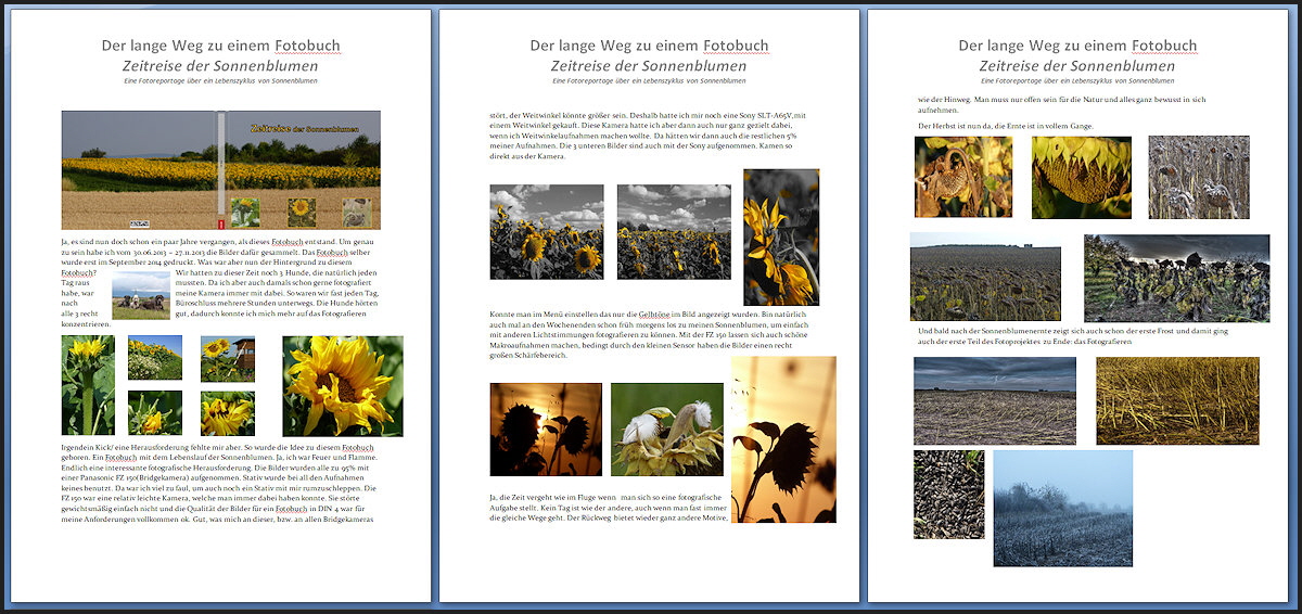 Das Sonnenblumen-Fotobuch von Fotofan Harry