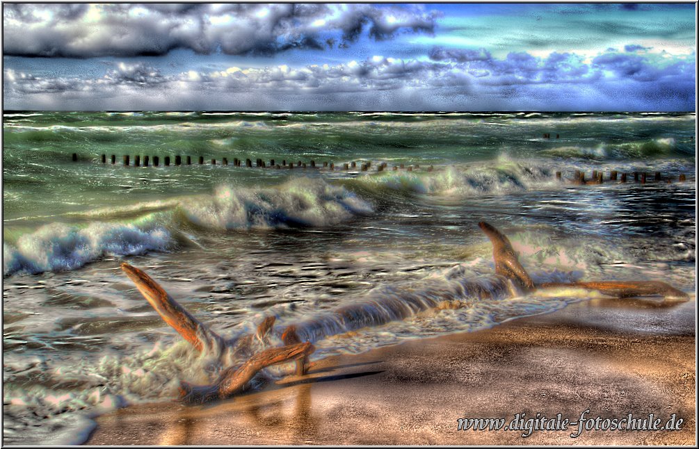 Aus der Fotoserie Dar, entstanden am urwchsigen Weststrand bei Prerow an der deutschen Ostseekste