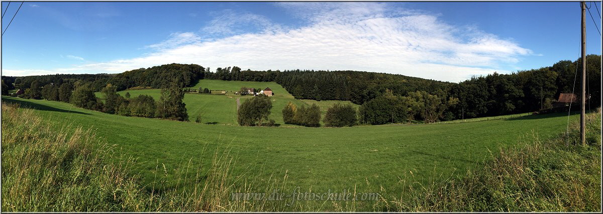 Wannebachtal_Sommer