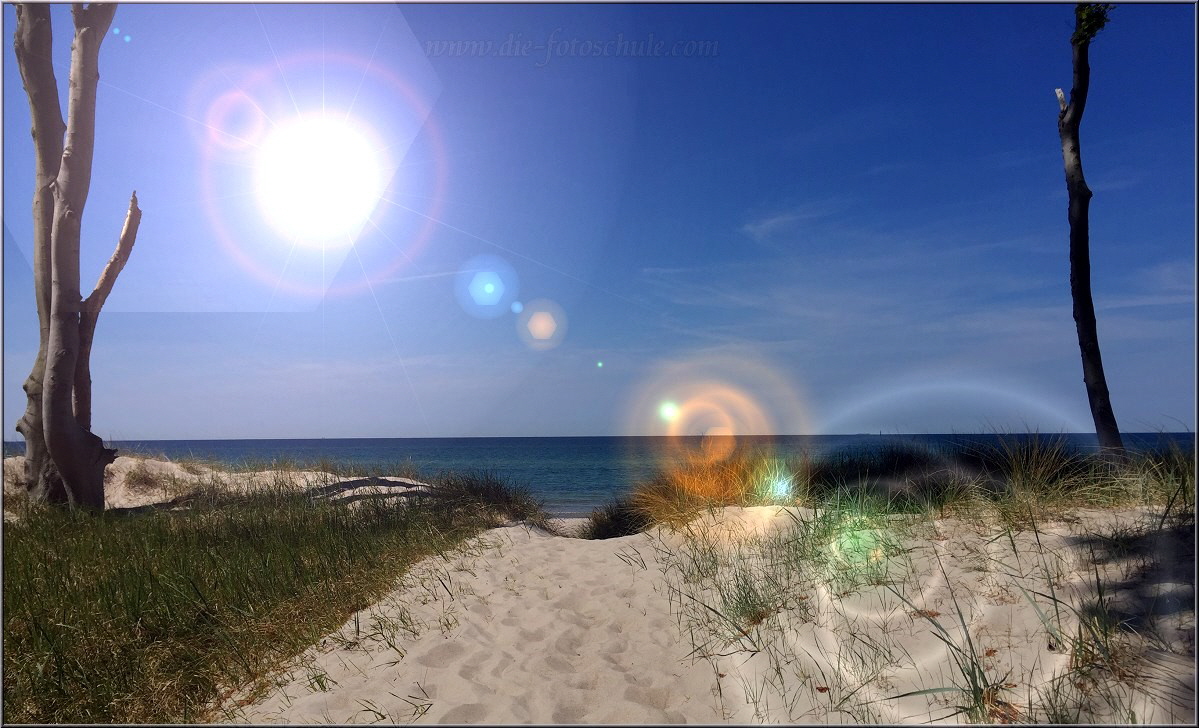 Am Weststrand auf dem Darss