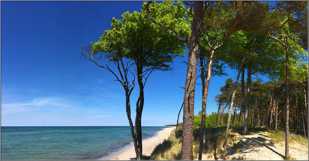 Weststrand Weststrand