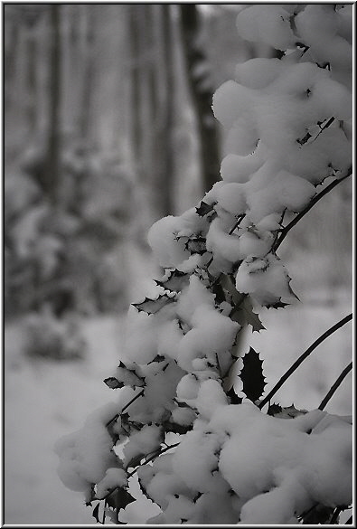 Winter in Dortmund