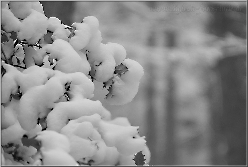 Aus meiner Fotoserie Winterlandschaften