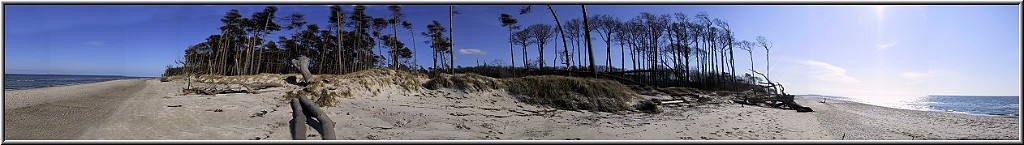 Panorama_Weststrand_Die_Fotoschule_1.jpg - Am Weststrand am Darß. Dieses Panorama entstand aus 7 einzelnen Fotos. Das Meer ist nicht wirklich links und rechts. Du mußt Dir vorstellen, Dich links beginnend langsam nach rechts zu drehen. So schaust Du von oben am Wasser bis unten ans Wasser  :-)