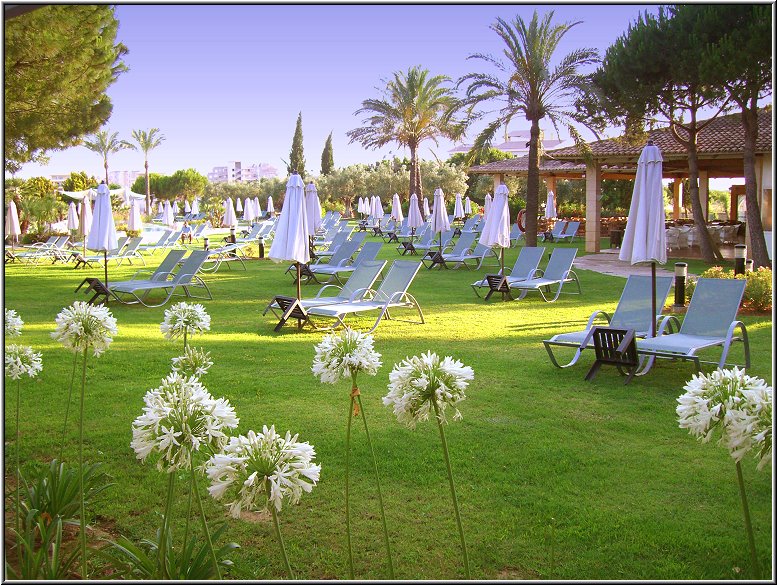 Fotoschule_Mallorca_001.jpg - Liegewiese am Pool, Hotel Hipocampo Palace in Cala Millor auf Mallorca