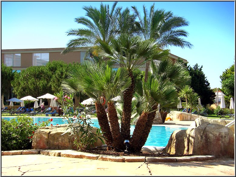 Fotoschule_Mallorca_002f.jpg - Poolbereich Hotel Hipocampo Palace in Cala Millor auf Mallorca