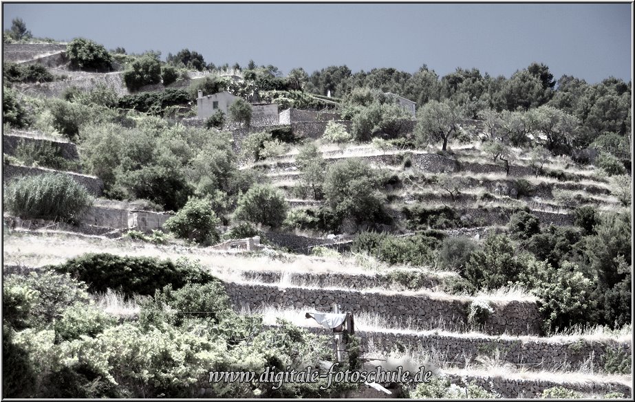 Fotoschule_Mallorca_035b.jpg - Banyalbufar im Westen der Insel