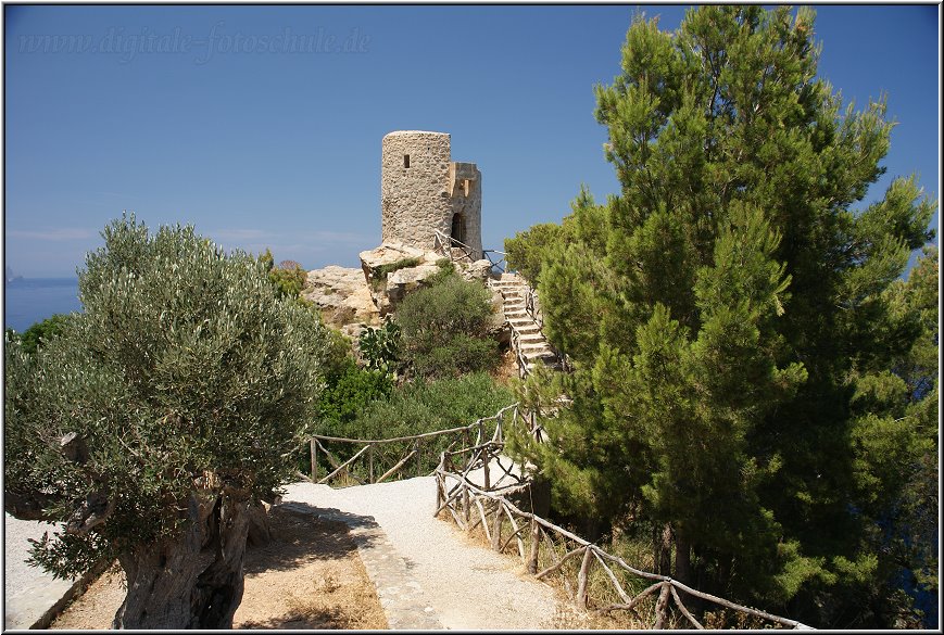 Fotoschule_Mallorca_042a.jpg - Im Westen von Mallorca entlang der Panoramastrasse von Valldemossa über Banyalbufar nach Andratx