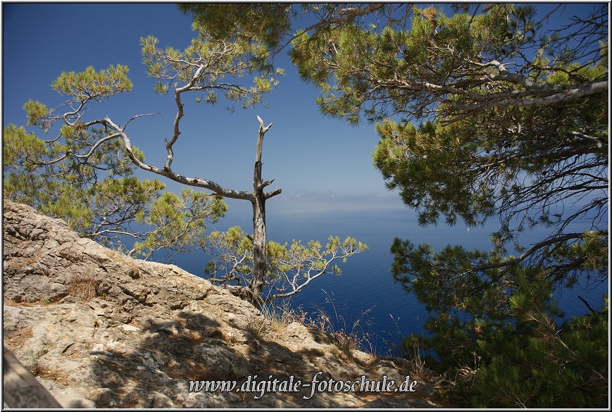Fotoschule_Mallorca_045.jpg - Im Westen von Mallorca entlang der Panoramastrasse von Valldemossa über Banyalbufar nach Andratx