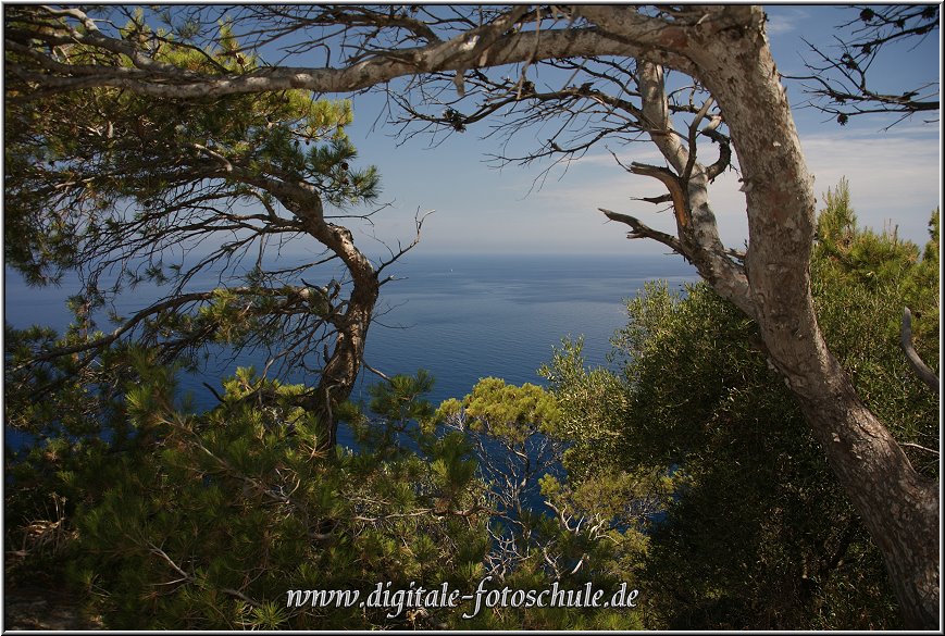 Fotoschule_Mallorca_047.jpg - Im Westen von Mallorca entlang der Panoramastrasse von Valldemossa über Banyalbufar nach Andratx