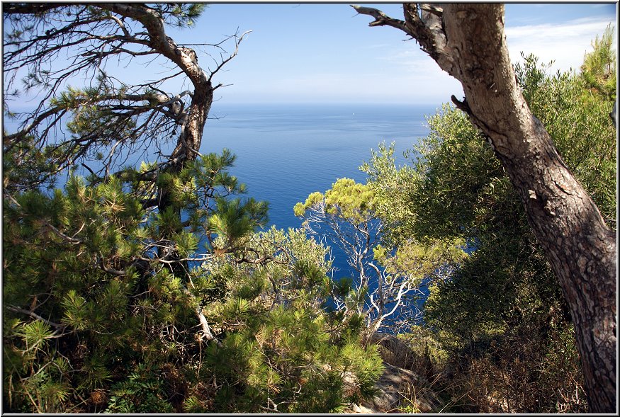 Fotoschule_Mallorca_051.jpg - Im Westen von Mallorca entlang der Panoramastrasse von Valldemossa über Banyalbufar nach Andratx