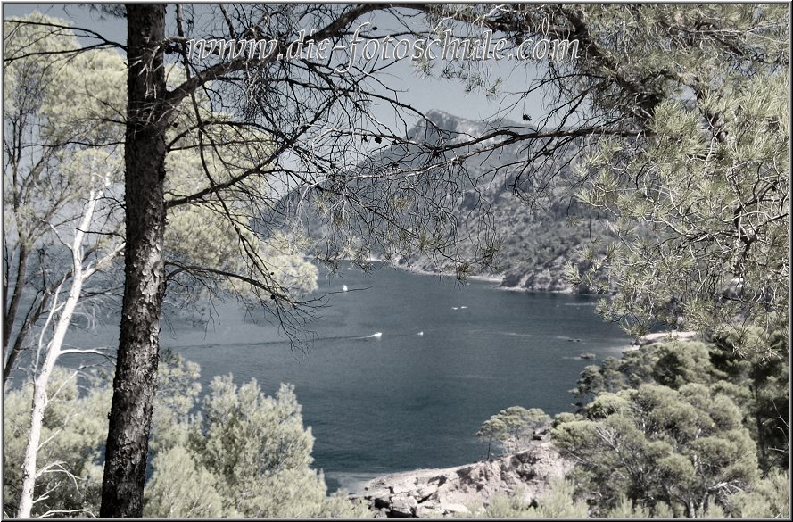 Fotoschule_Mallorca_051a.jpg - Im Westen von Mallorca entlang der Panoramastrasse von Valldemossa über Banyalbufar nach Andratx