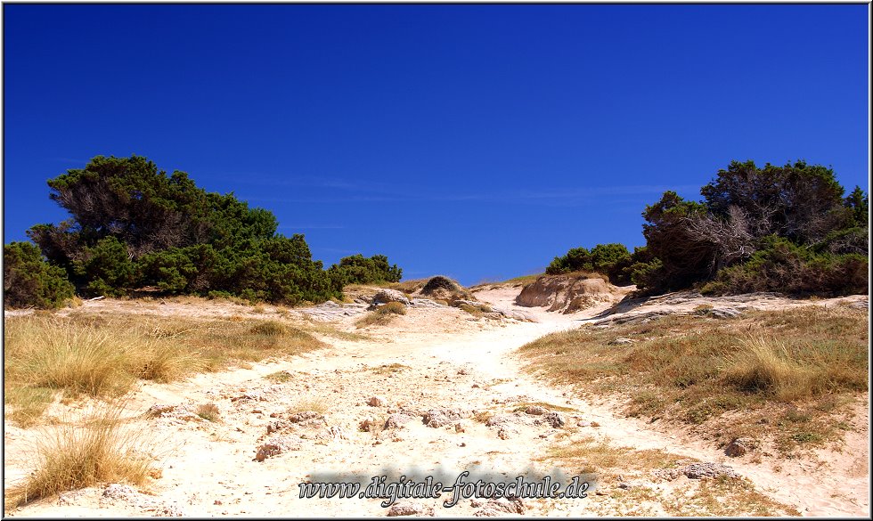 Fotoschule_Mallorca_059.jpg - Auf dem Weg zur Festung Castell de n´Amer; Naturschutzgebiet