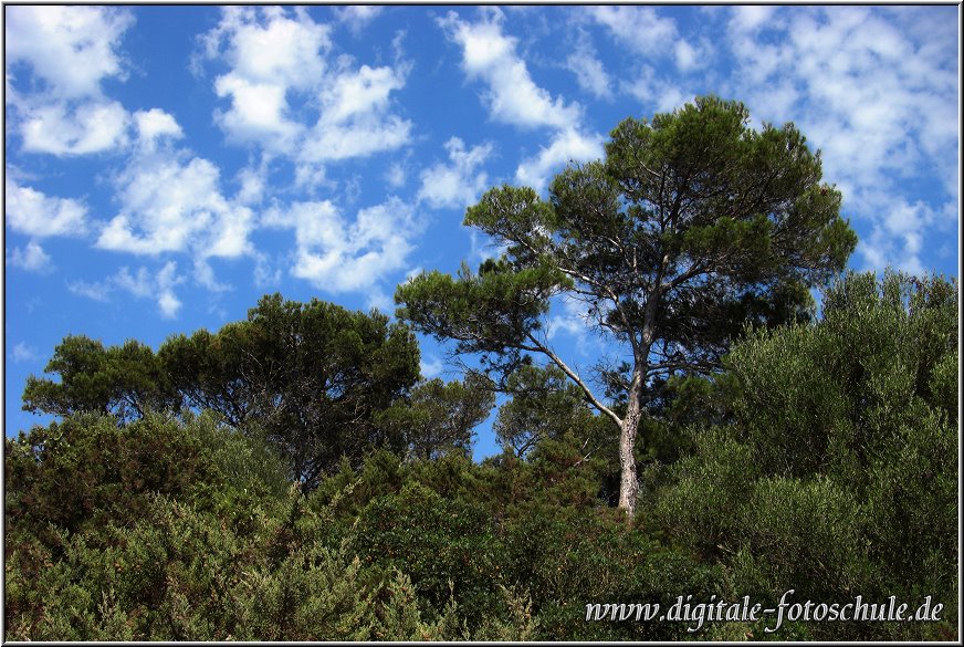 Fotoschule_Mallorca_130.jpg - Naturschutzgebiet südlich von Cala Millor