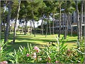 Fotoschule_Mallorca_002a