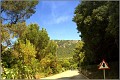 Fotoschule_Mallorca_025