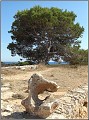 Fotoschule_Mallorca_061