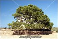 Fotoschule_Mallorca_065