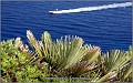 Fotoschule_Mallorca_122