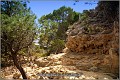 Fotoschule_Mallorca_126