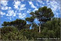 Fotoschule_Mallorca_130