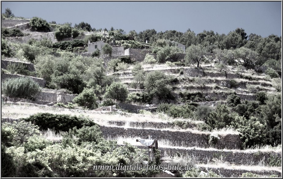 Fotoschule_Mallorca_035b