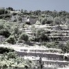 Fotoschule_Mallorca_035b