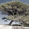 Fotoschule_Mallorca_059b