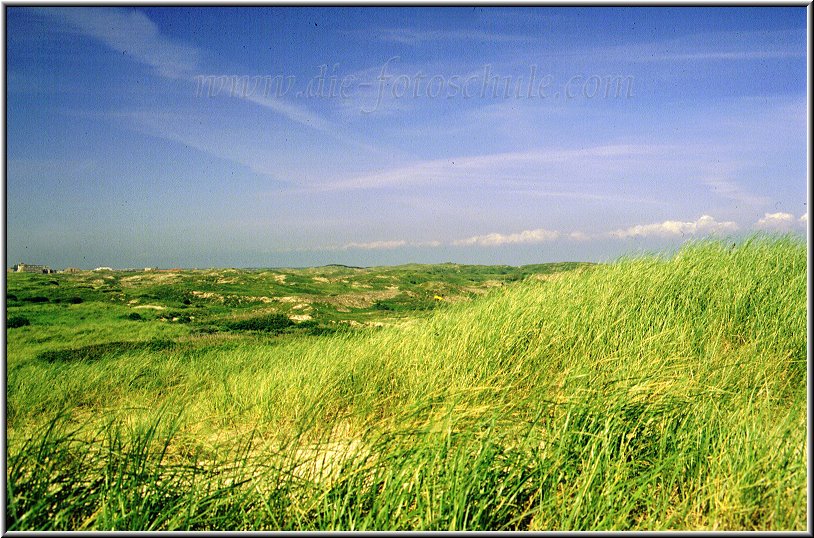 Egmond_fotoschule_21.jpg - Die nicht enden wollende Dünenlandschaft nördlich und südlich von Egmond aan Zee. Bei warmen Sonnenschein findet man hier ruhige, windstille und ungestörte Flecken, um in Ruhe zu relaxen  :-))