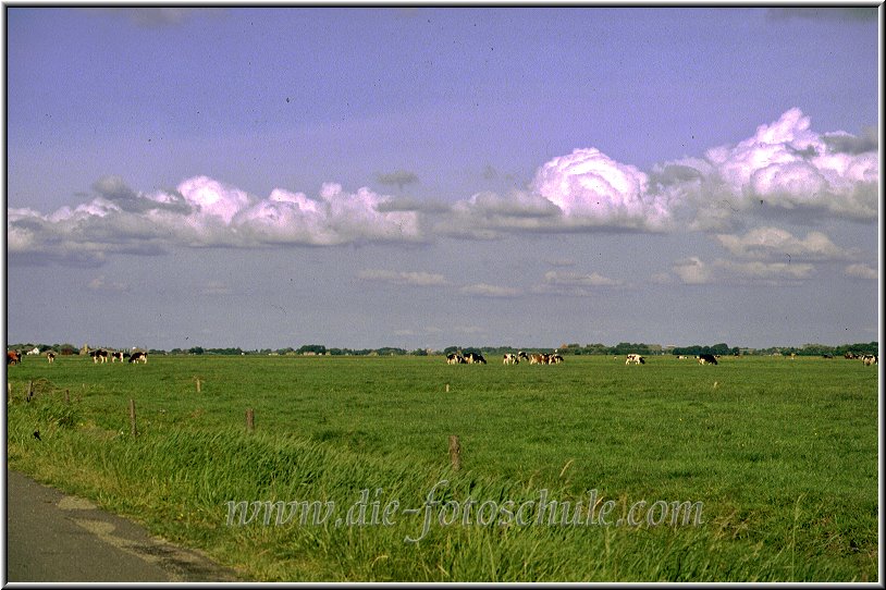 Egmond_fotoschule_28.jpg - "Hier kannst Du morgens schon sehen, wer abends zu Besuch kommt..."