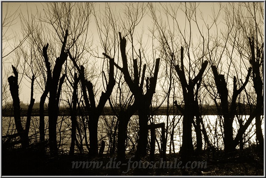 Egmond_fotoschule_31.jpg - Kleine Binnenseen gibts im Hinterland