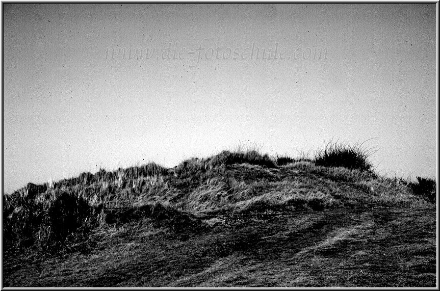 Egmond_fotoschule_32.jpg - Dünenlandschaft in schwarz/weiß. Klassisch auf Schwarzweiß-Film fotografiert.