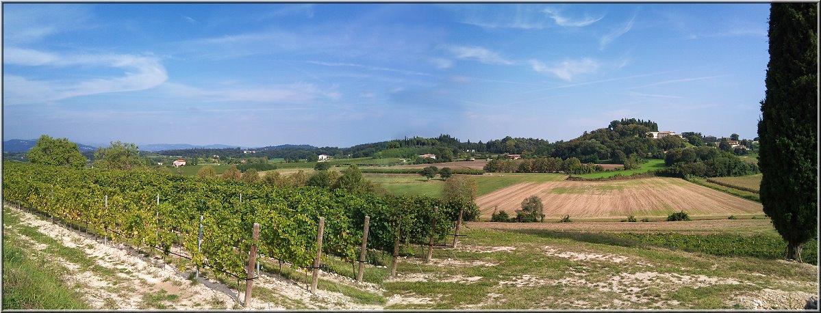 Castelnuovo_006_Panorama.jpg - Weinanbau im Hinterland von Lazise, bei Castelnuovo. Hier wirkt die Landschaft etwas, wie in der Toscana.
