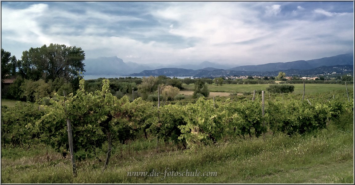Castelnuovo_007_Panorama.jpg - Weinanbau im Hinterland von Lazise, bei Castelnuovo. Hier kannst Du in herrlicher Ruhe spazieren und einen fantastischen Ausblick auf den See und die Berge geniessen.