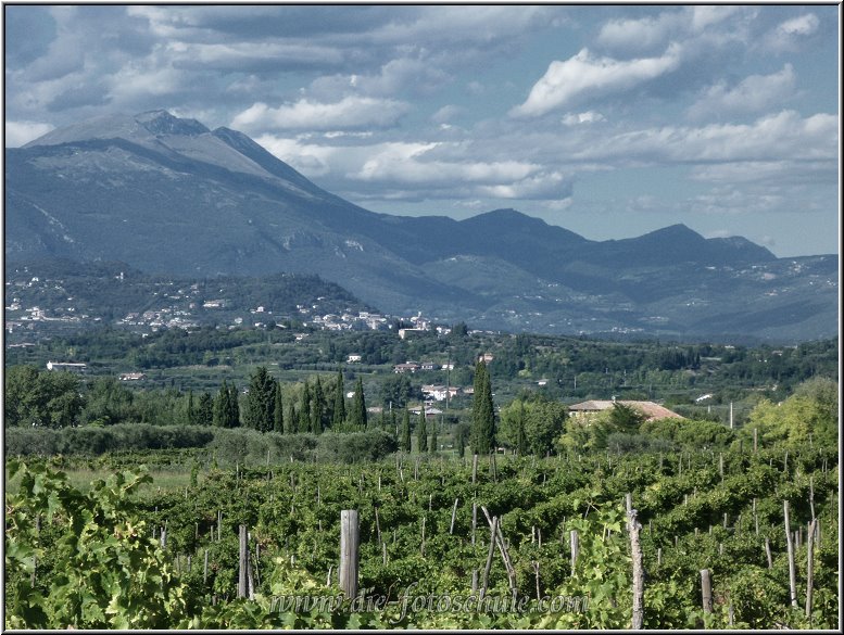 Castelnuovo_009.jpg - Weinanbau im Hinterland von Lazise, bei Castelnuovo. Hier kannst Du in herrlicher Ruhe spazieren und einen fantastischen Ausblick auf den See und die Berge geniessen.