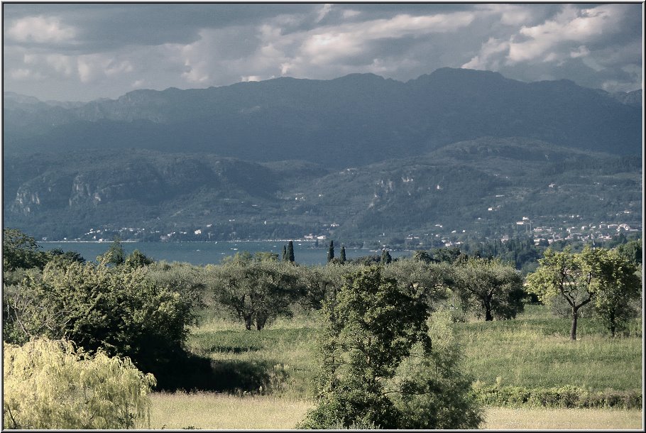 Castelnuovo_011.jpg - Weinanbau im Hinterland von Lazise, bei Castelnuovo. Hier kannst Du in herrlicher Ruhe spazieren und einen fantastischen Ausblick auf den See und die Berge geniessen.