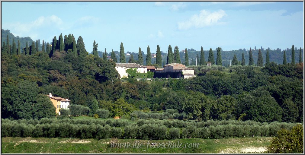 Castelnuovo_013.jpg - Weinanbau im Hinterland von Lazise, bei Castelnuovo. Hier wirkt die Landschaft etwas, wie in der Toscana.