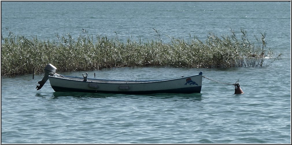 Garda_014.jpg - Solche Boote gibts hier haufenweise