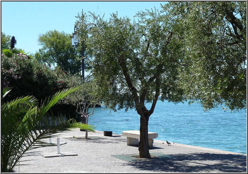 Lazise_016.jpg - Auf den kleinen Bänken sitzen und Stunden auf den See schauen