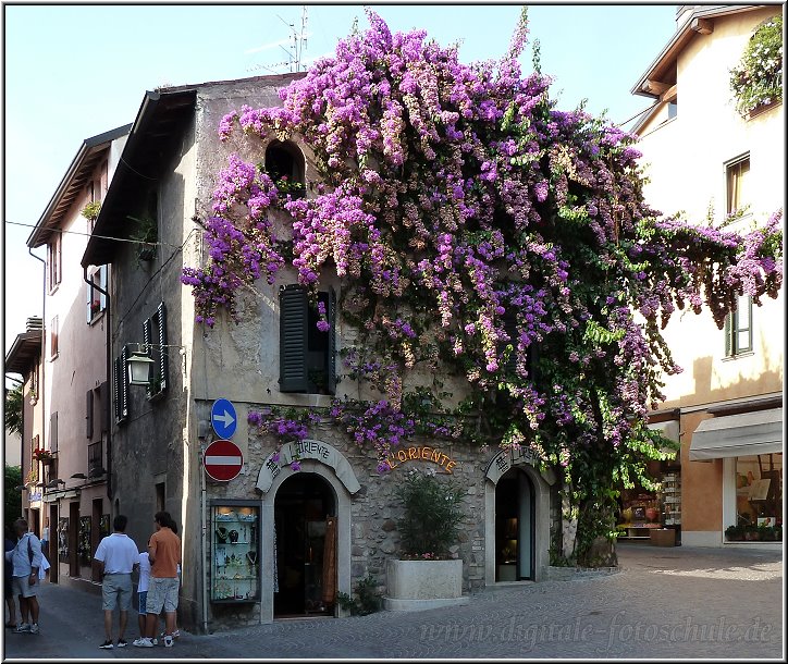 Sirmione_050.jpg - So sieht eine richtige Balkonbepflanzung aus, dann gibts auch Sichtschutz vor den Nachbarn