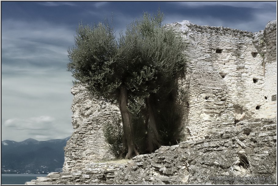 Sirmione_Grotten_017.jpg - Grotten des Catull