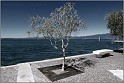 Lazise_012_a