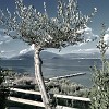 Sirmione_024_a