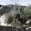 Sirmione_Grotten_016_a