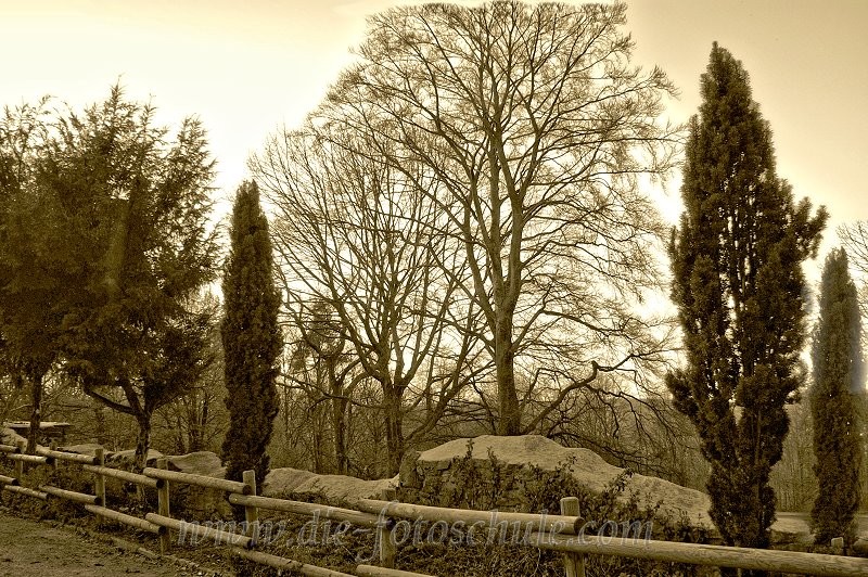 WegeGarten1.jpg - An der Hohensyburg im Süden Dortmunds, hoch oben über dem Hengsteysee.