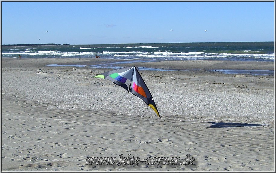 Maestro von HQ am Strand von Prerow